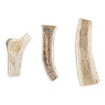 Friandise de mastication pour chien