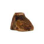 Friandise de mastication pour chien