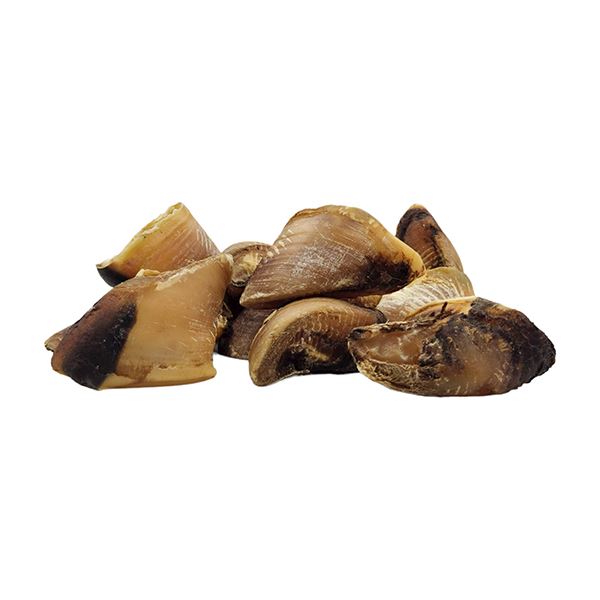 sabot de boeuf mastication chez le chien