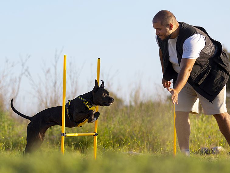 sport avec son chien