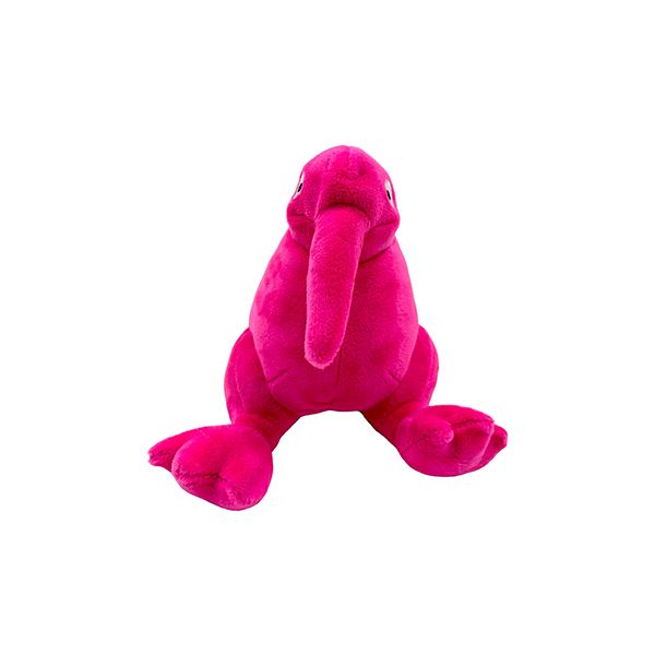 jouet-pour-chien
