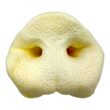 Groins de porc soufflés