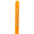 collier pour chien