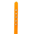 collier pour chien