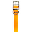 collier pour chien collier nash