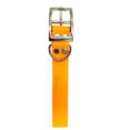 collier pour chien collier nash