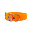 collier pour chien