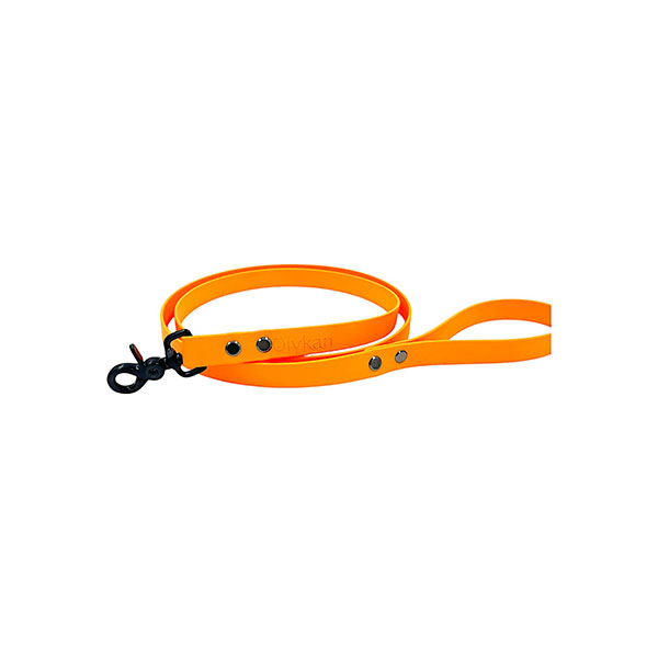 laisse orange