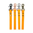 laisse orange