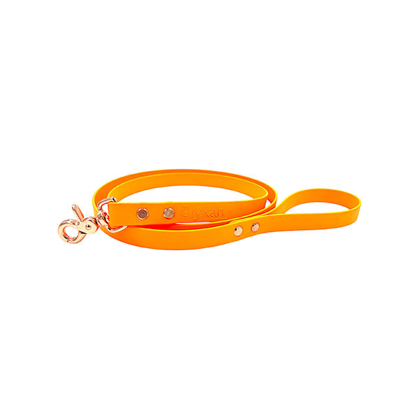 laisse orange