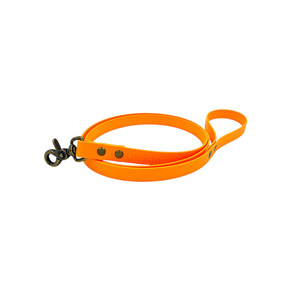 laisse orange