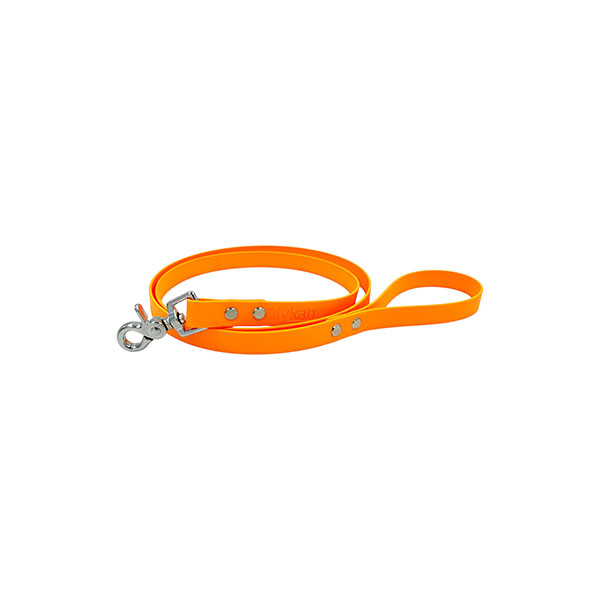 laisse orange