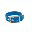 Nash couleur Bleu argent - collier pour chien
