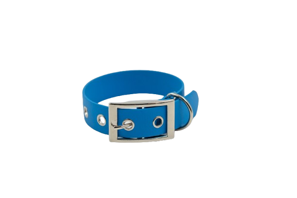 Nash couleur Bleu argent - collier pour chien