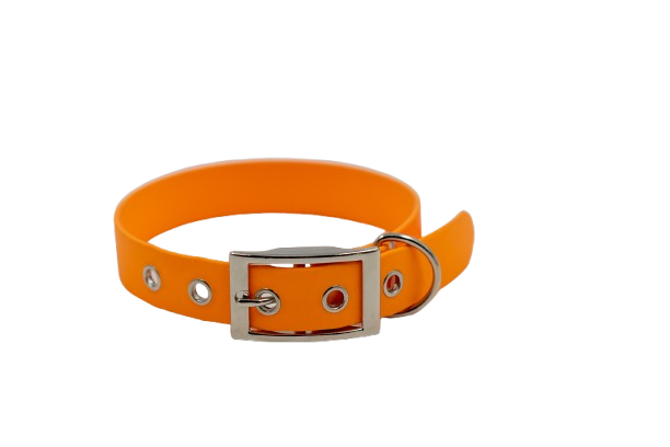nash_orange_argent-removebg-preview
