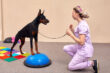 Proprioception-pour-chien