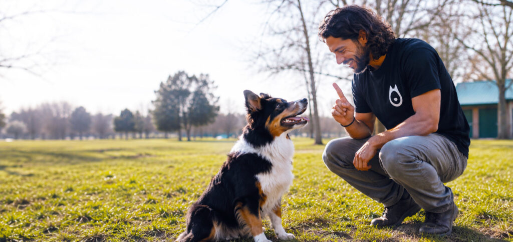 Formule initiative