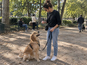 éducation canine pour mauvais comportement chien