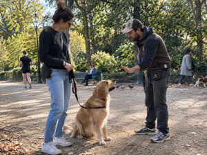 éducation canine pour mauvais comportement chien