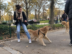 éducation canine pour mauvais comportement chien