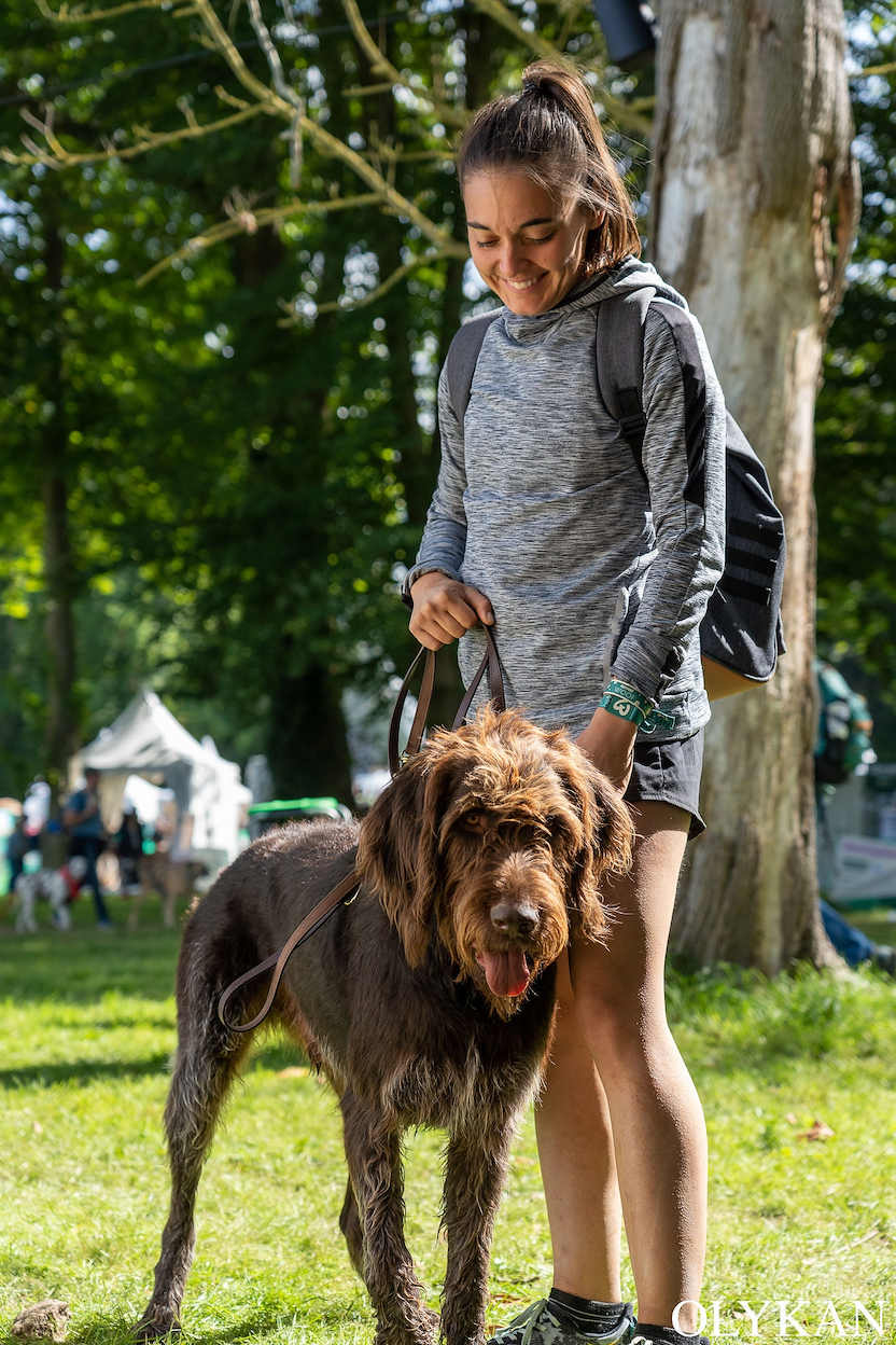 cani-randonnée